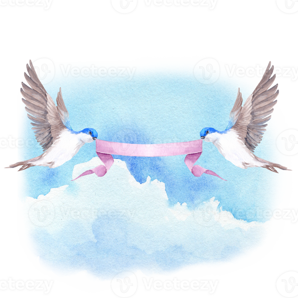 Two swallows birdies flying in the sky with ribbon png