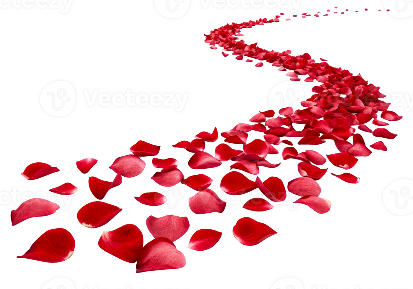 Flower petals creating a winding path for a romantic setting png