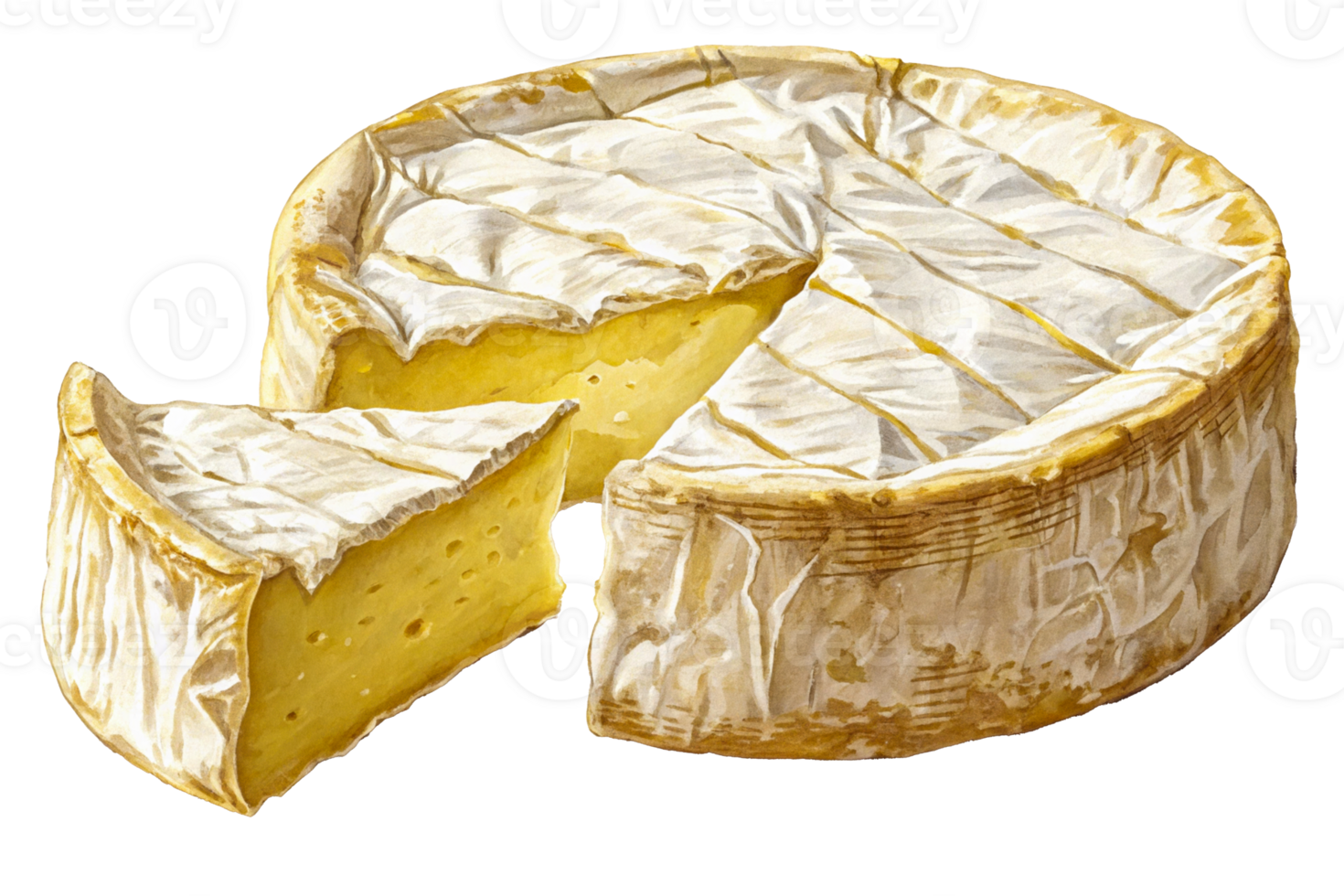 Detailed view of creamy cheese with a slice cut out showcasing its texture and color png