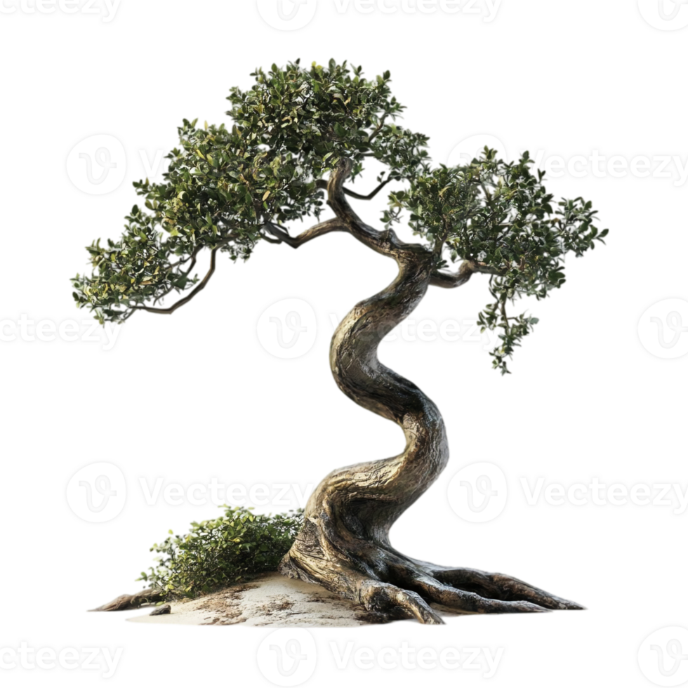 Elegant Twisted Bonsai Tree Nature 3d zen art leaf isolated on transparent background png