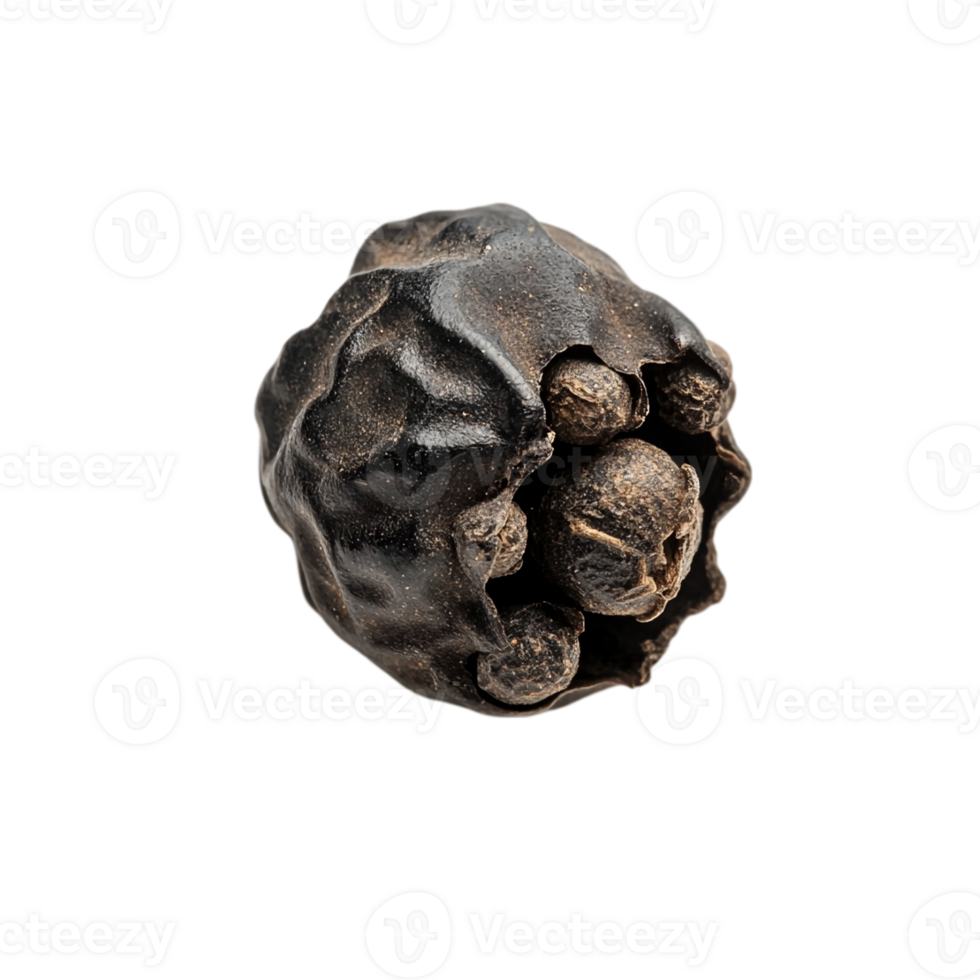 Black Peppercorn Macro Closeup Detail Spice hot isolated on transparent background png