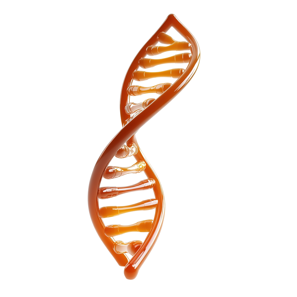 Amber colored three dimensional DNA model Isolated on Transparent Background. png