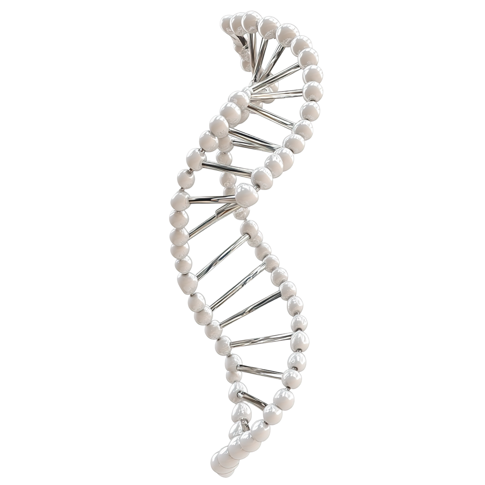 A stylized three dimensional model of DNA Isolated on Transparent Background. png