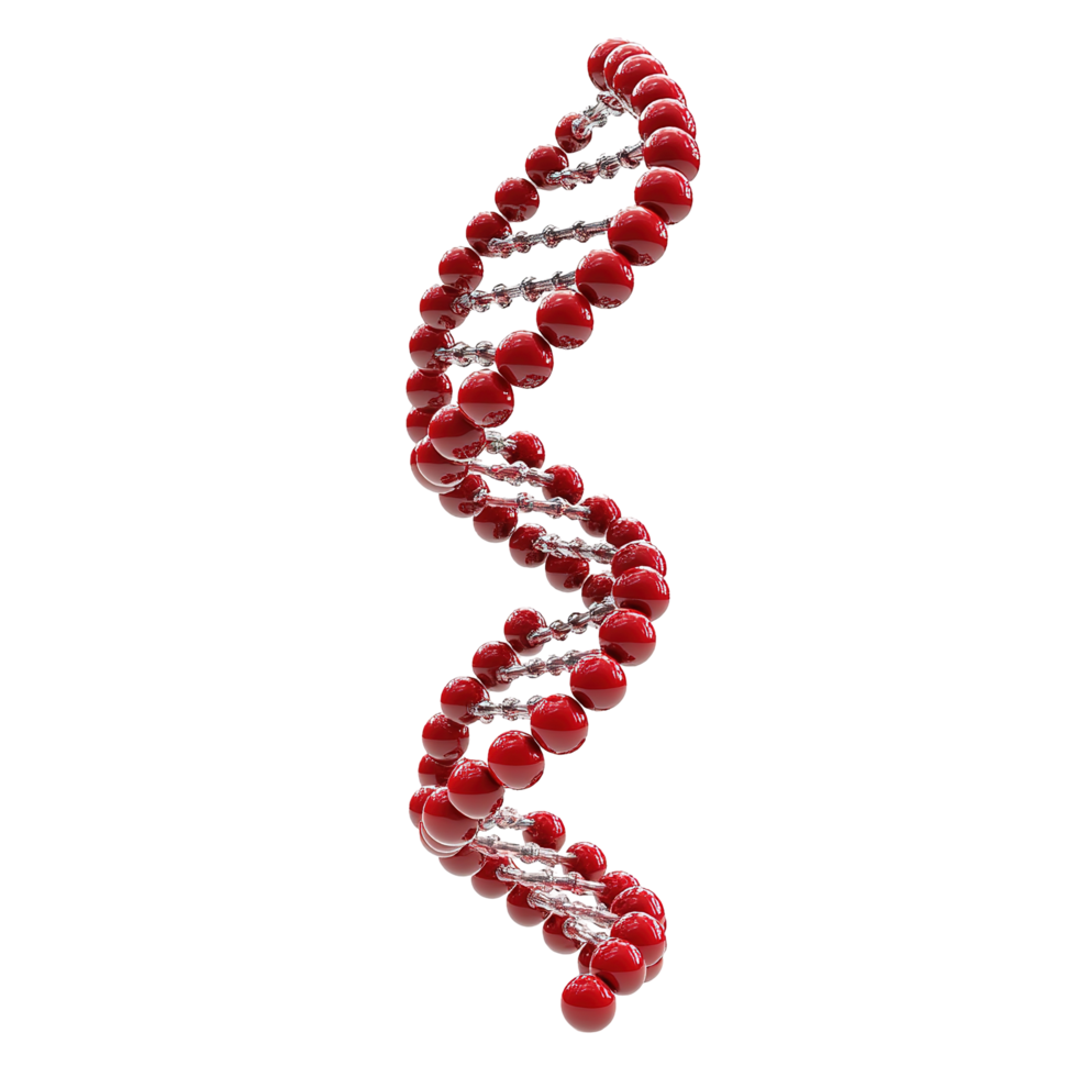 Red spheres form a helical DNA structure Isolated on Transparent Background. png