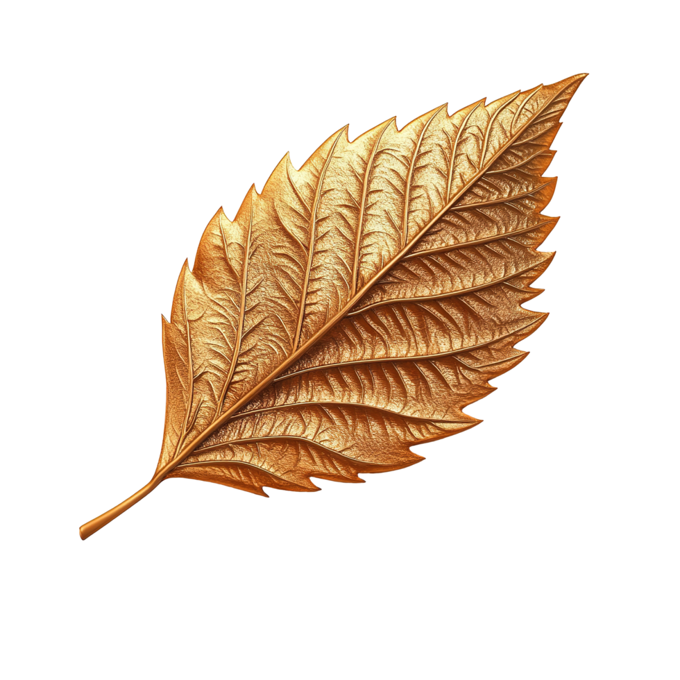 A Single Golden Leaf Isolated on Transparent Background. png