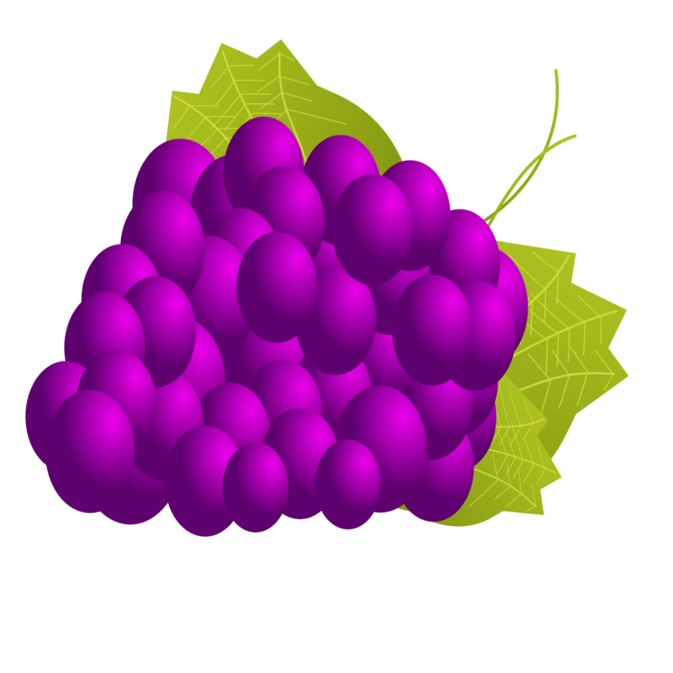 A bunch of purple grapes illustration png