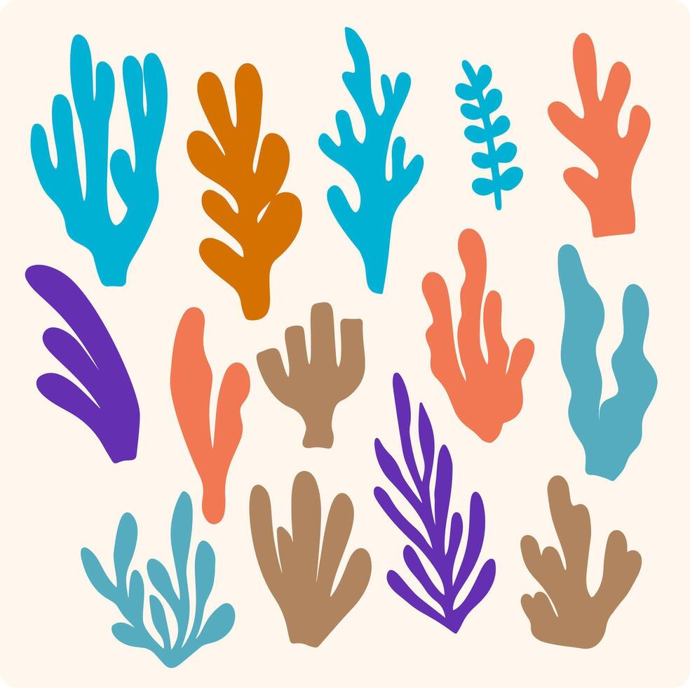 Colorful Seaweed and Coral Illustrations vector