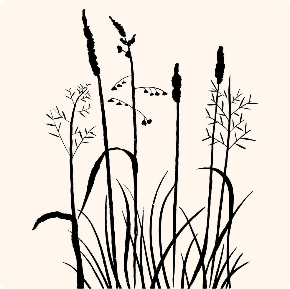 Silhouettes of flowers, grass with wild plants charcoal or pencil drawn illustration vector