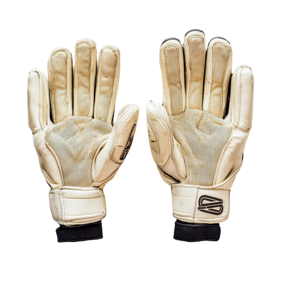 A pair of cricket batting gloves with reinforced finger padding, breathable mesh panels, and secure wrist straps, neatly arranged png