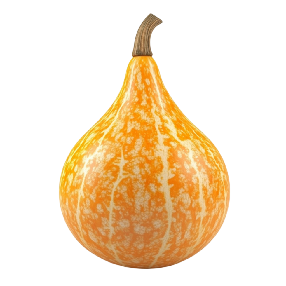 Butternut Squash Transparent Background png