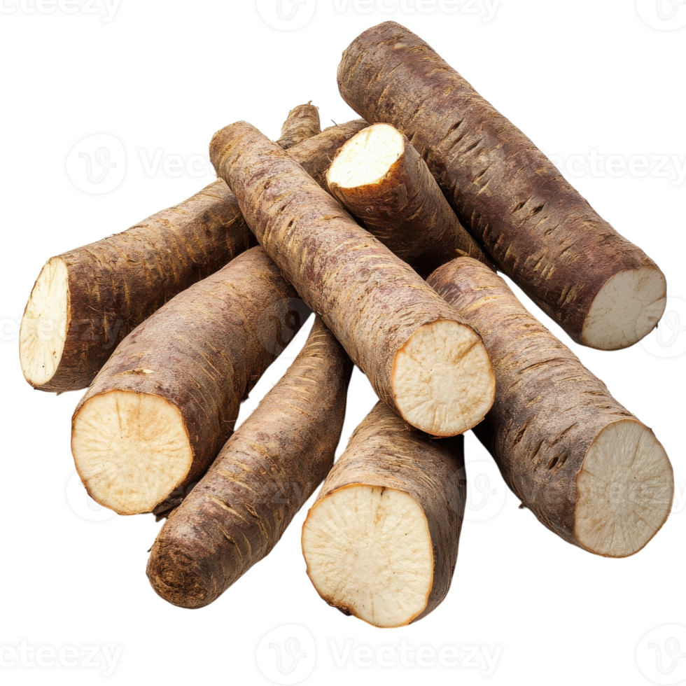 Cassava Roots Nutritious and Wholesome on transparent background. png
