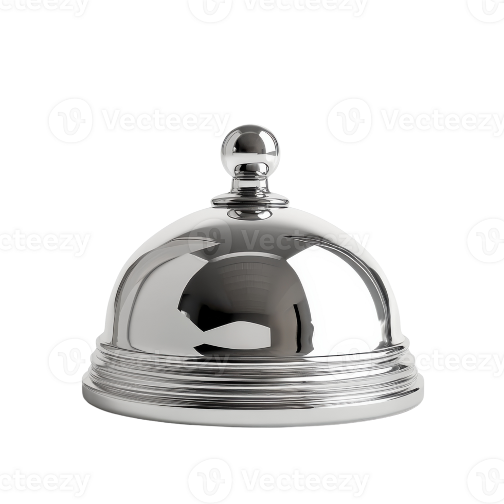 Shiny Silver Service Bell on transparent background. png