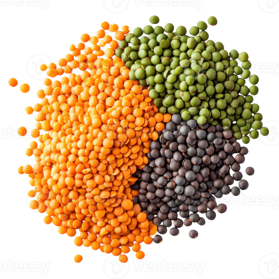 High Protein Lentils Vitamin Rich on transparent background. png