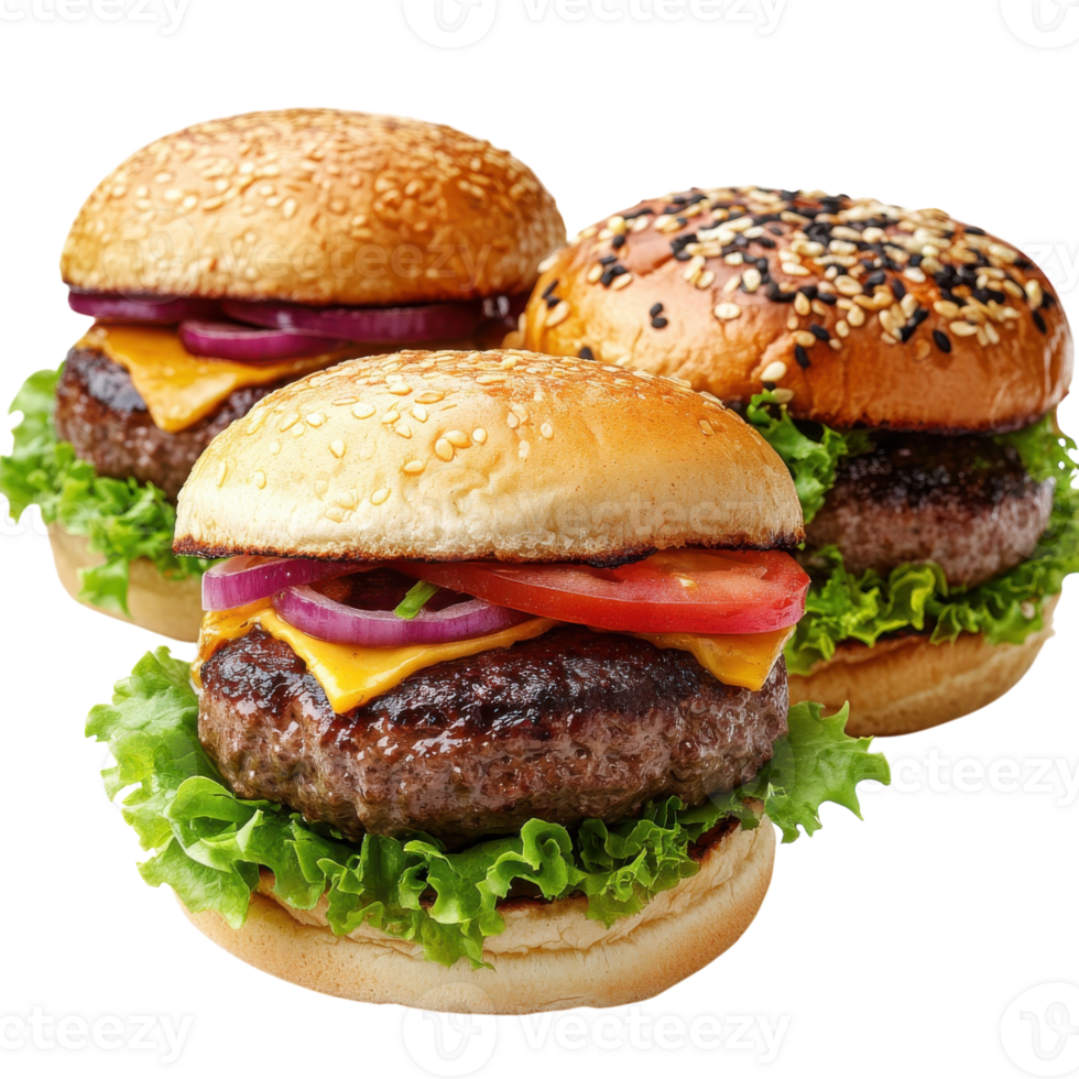 Gourmet Burgers Juicy Toppings on transparent background. png