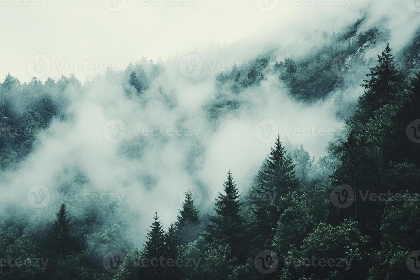 A tranquil scene of a misty forest with dense green trees and fog enveloping a mountainous landscape, evoking a sense of calm and mystery. photo