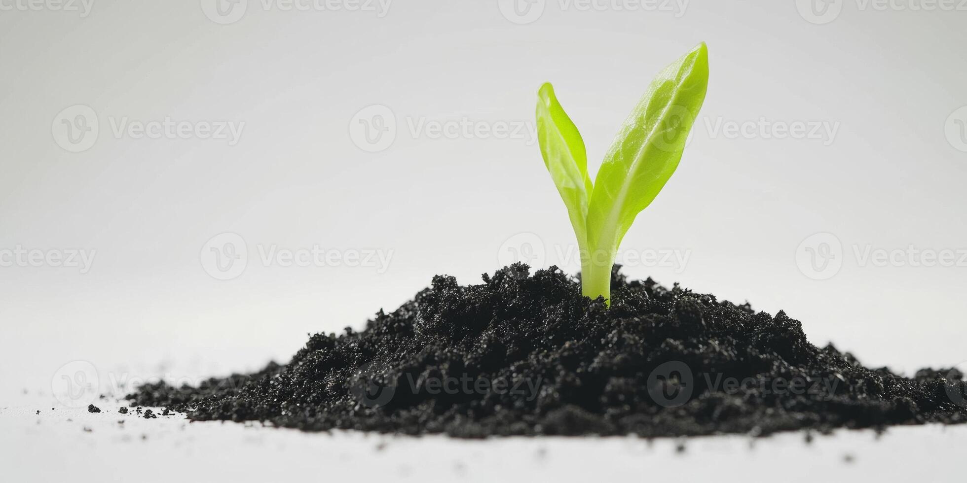 Seedling Emerging from Soil, A Symbol of New Growth and Life's Beginnings photo