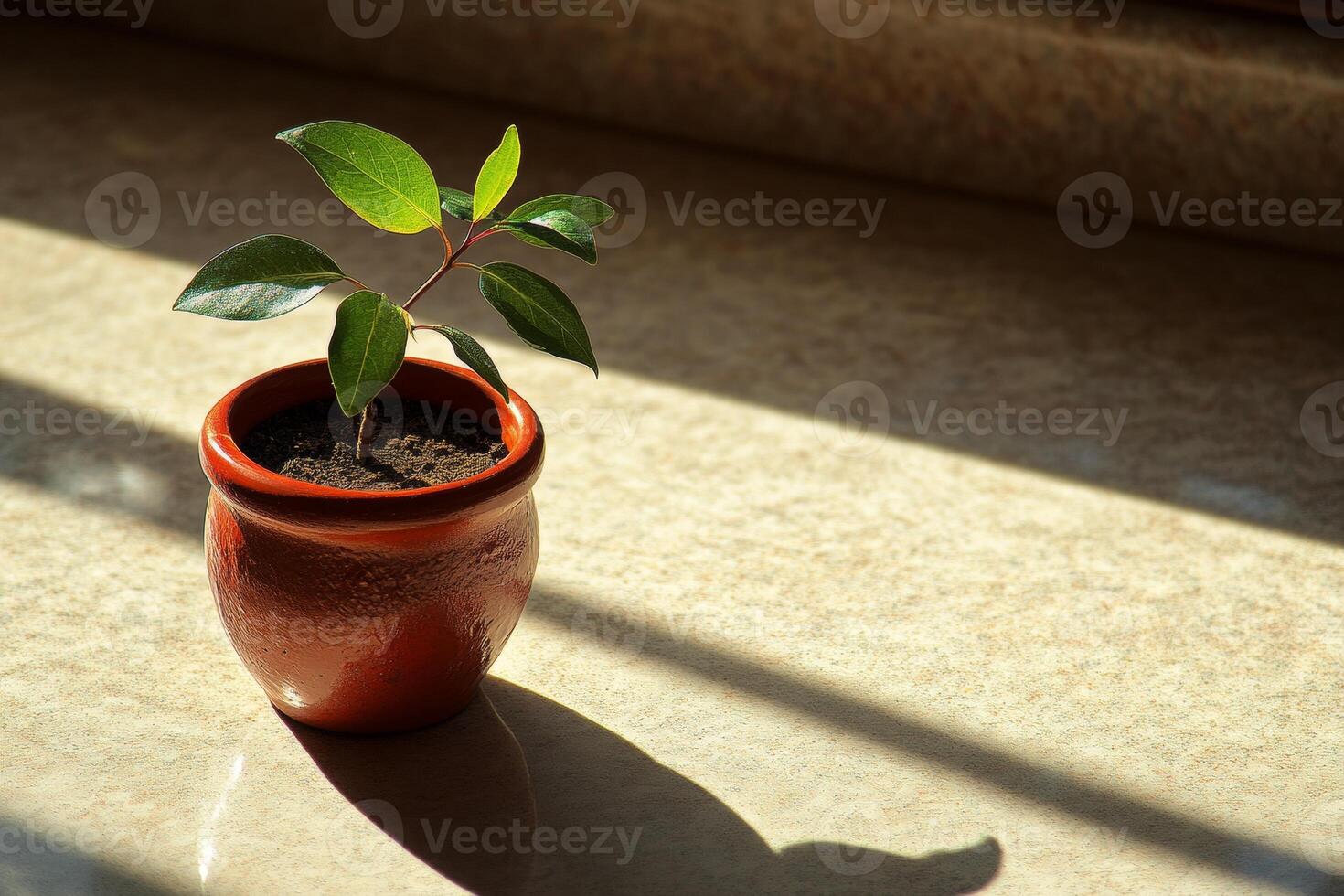 A small green plant in a terracotta pot, bathed in sunlight on a windowsill. A symbol of new life and growth, this image evokes feelings of peace and tranquility. photo