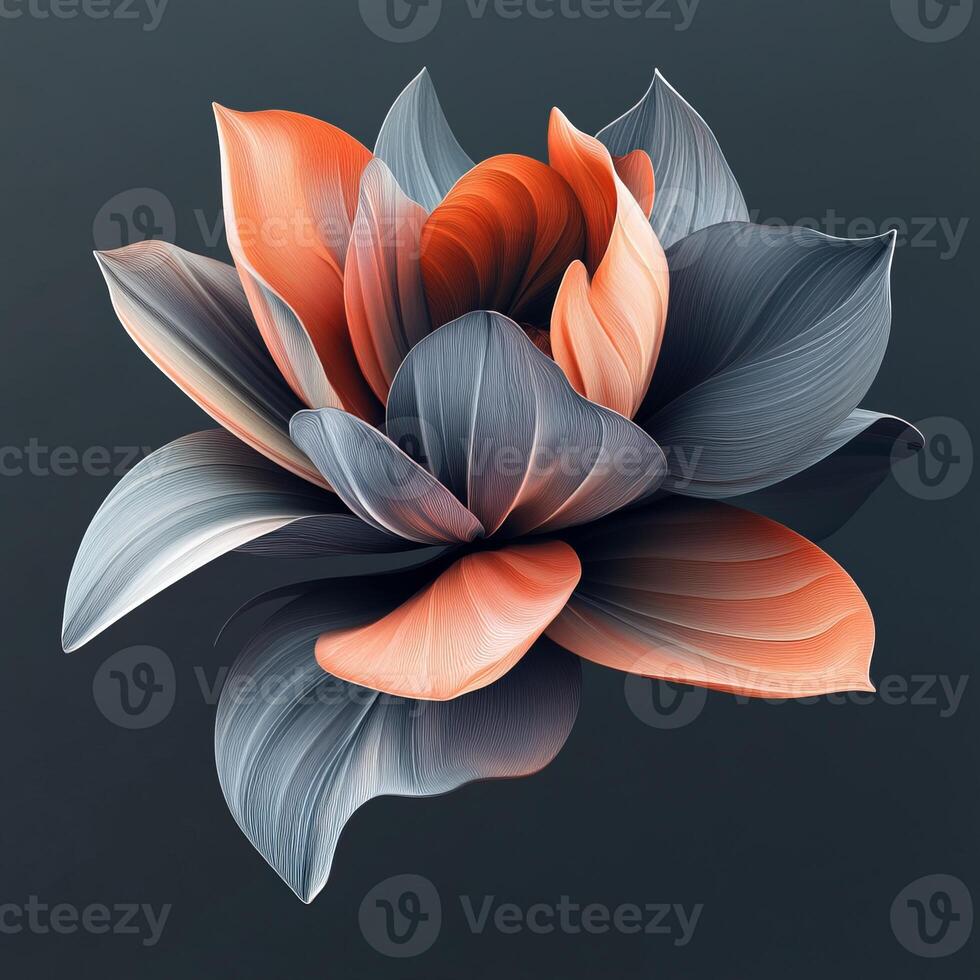 A flower with orange and gray petals photo