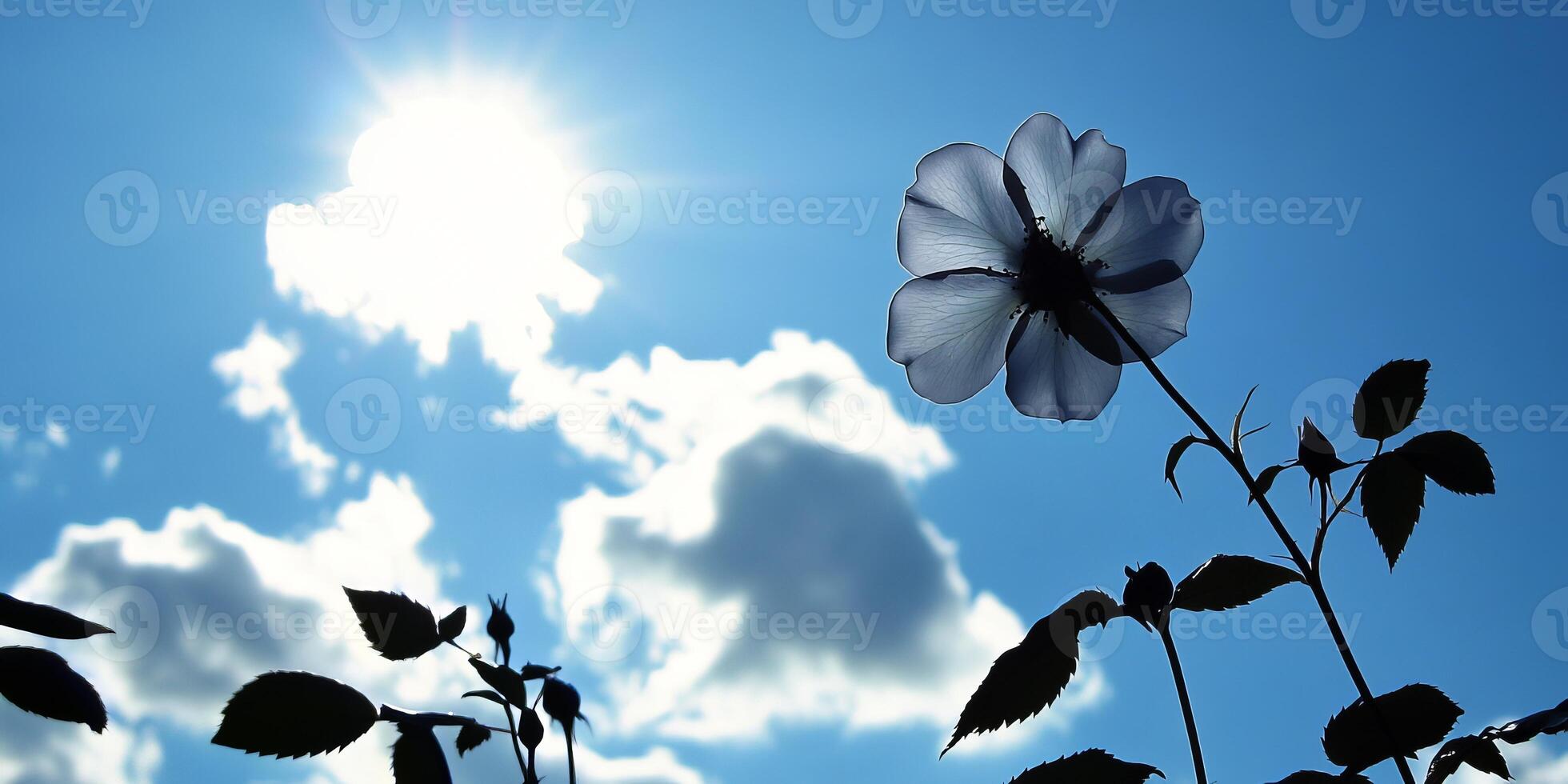 A flower is in the middle of a blue sky with clouds. The sun is shining brightly, making the flower look even more beautiful photo