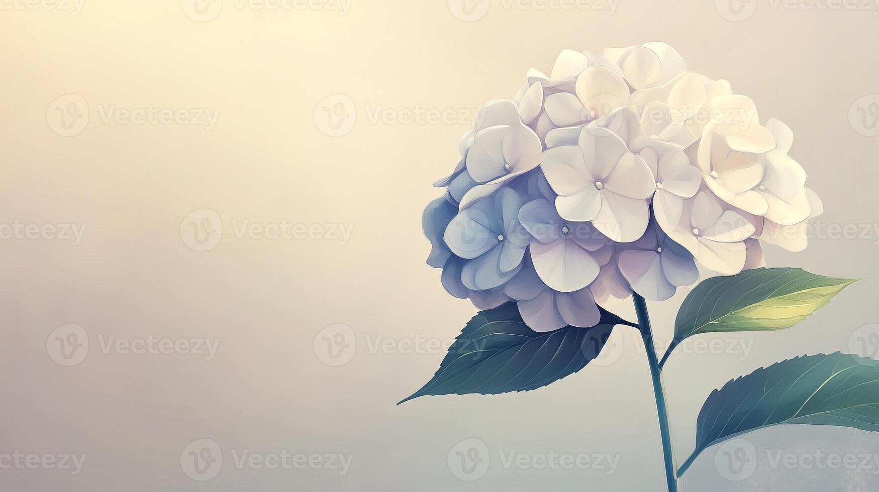 Elegant White Hydrangea Bloom Against Soft Pastel Background with Green Leaves and Gentle Lighting photo