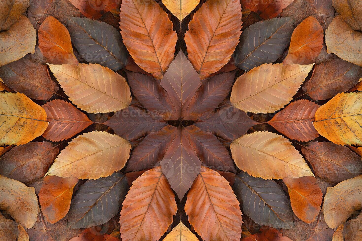 A symmetrical arrangement of autumn leaves in warm hues, forming a natural mandala pattern, perfect for seasonal and nature-themed designs. photo