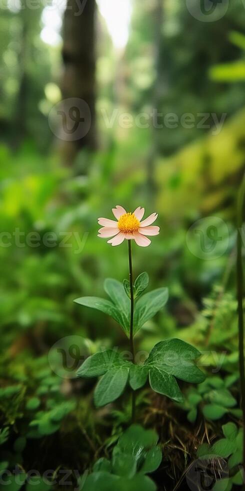 A small flower is in the foreground of a lush green forest. The flower is yellow and pink, and it is surrounded by green leaves. Concept of tranquility and natural beauty photo