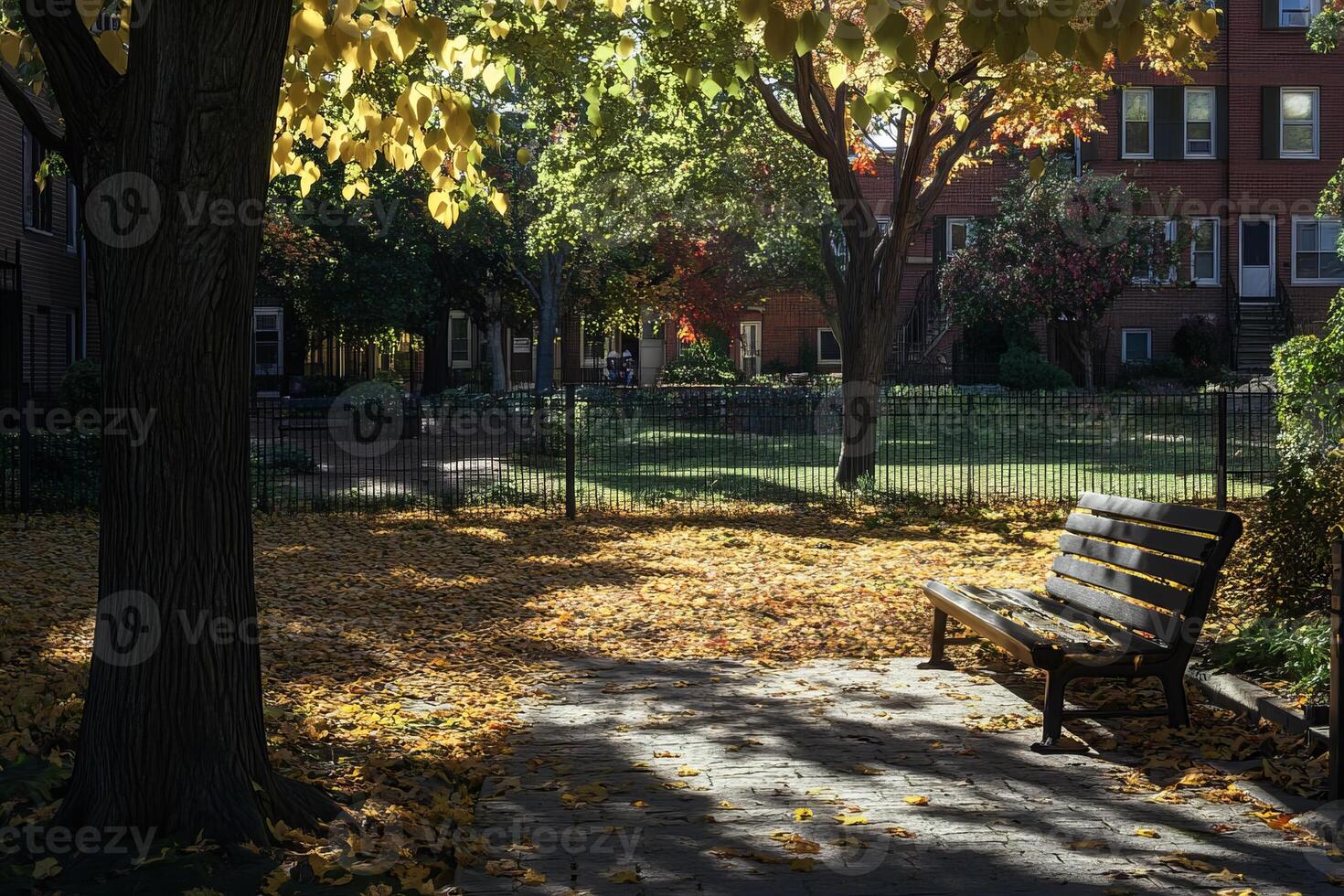Serene Urban Park in Autumn with Sunlit Bench and Colorful Foliage photo