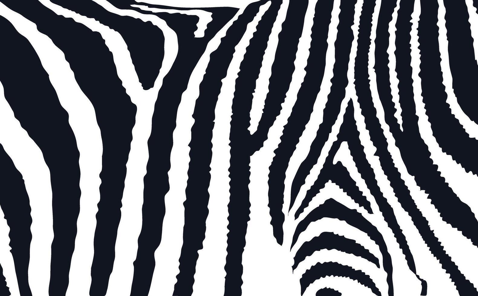 Zebra Pattern Black and White Illustration Isolated on A White Background vector