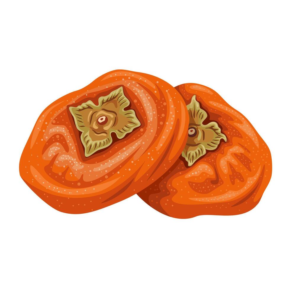 Illustration of dried persimmon, isolated on white background. vector