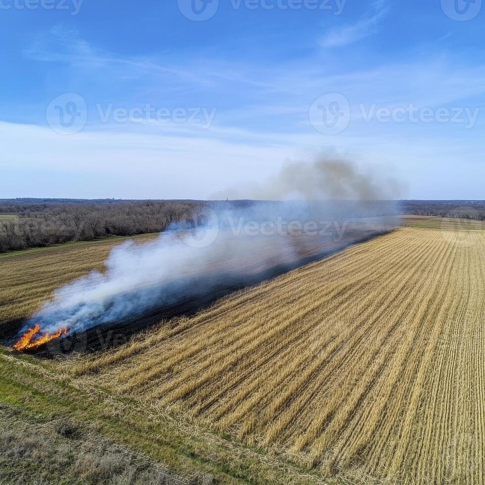 Dramatic aerial view showcasing a controlled agricultural burn in a vast, golden field under a bright blue sky, with plumes of smoke rising gently, illustrating responsible land management and the photo