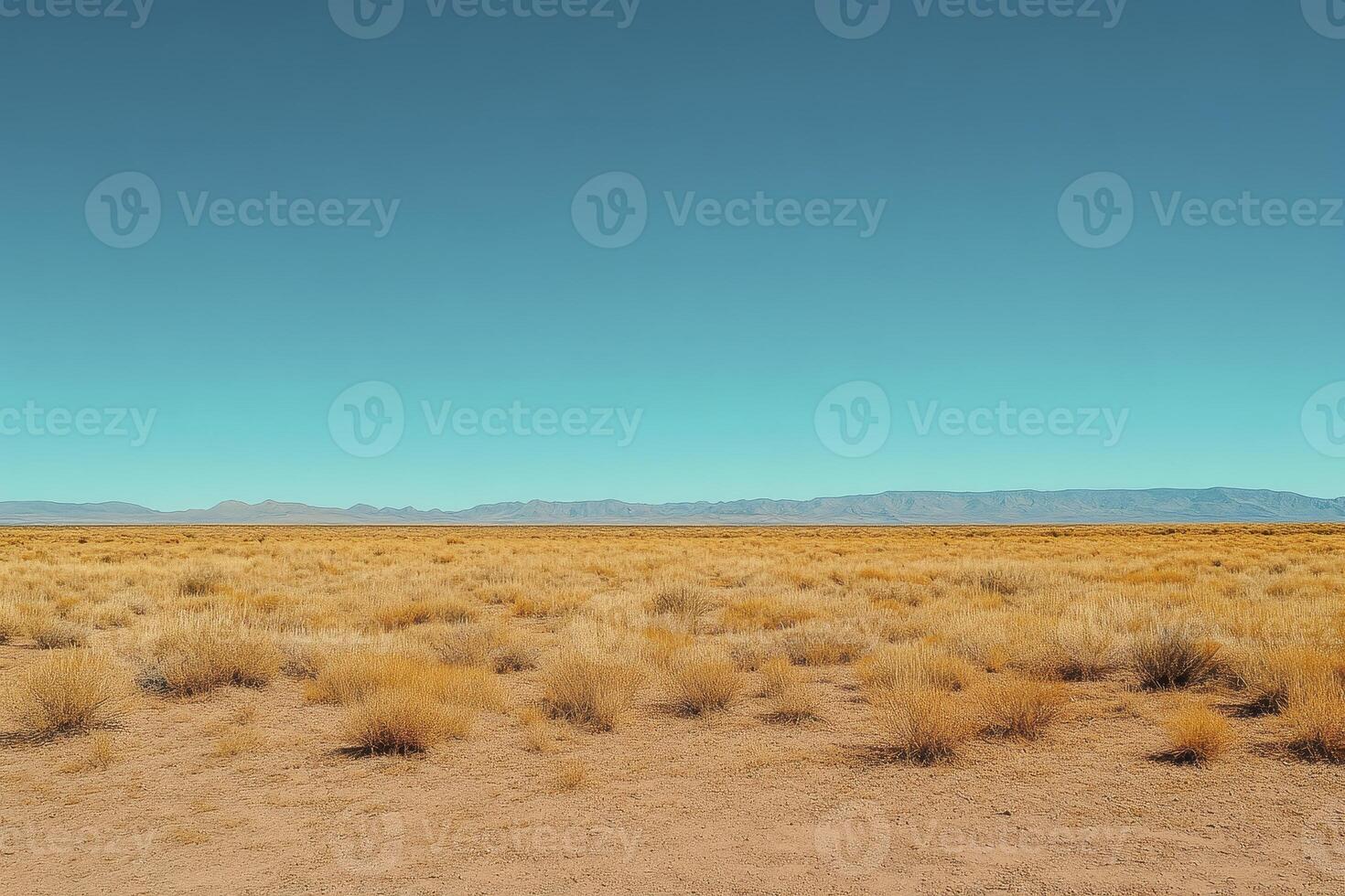Experience the vast beauty of the desert landscape, showcasing a serene expanse of dry, arid land under a clear, blue sky, perfect for representing freedom, solitude, and the allure of the great photo