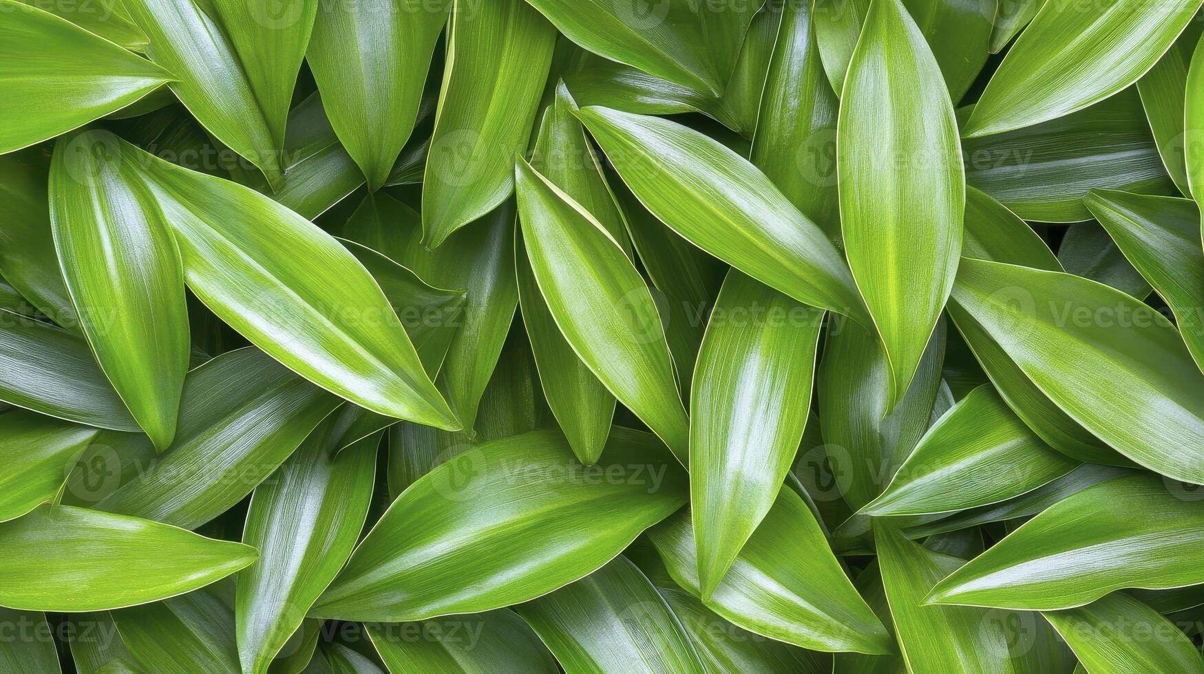 Explore the vibrant beauty of lush green leaves, a captivating nature image showcasing the intricate textures and patterns Discover the essence of freshness, perfect for backgrounds, wallpapers, or photo