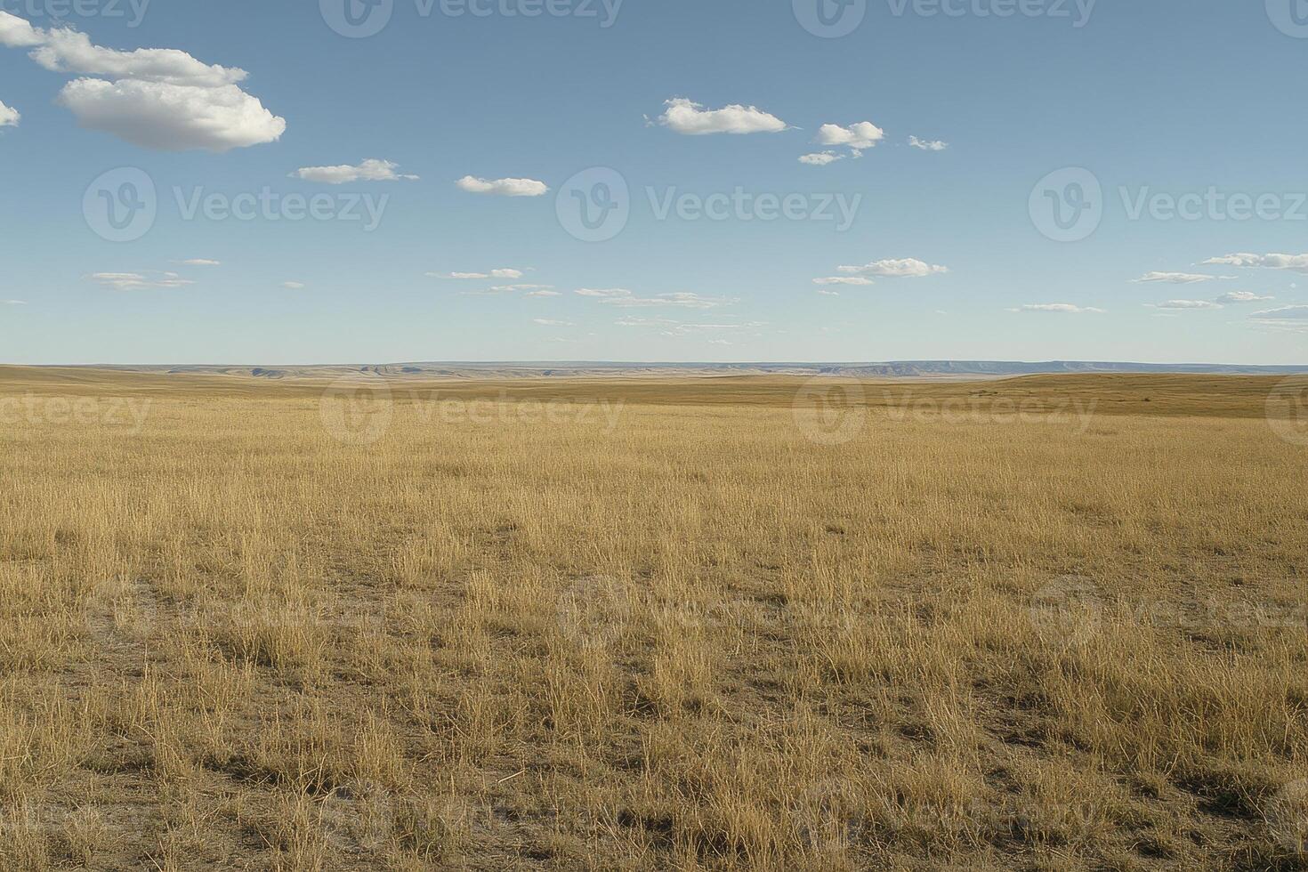 Vast Prairie Landscape A Scenic View of Golden Grasslands Under a Clear Blue Sky with Fluffy White Clouds, Evoking a Sense of Tranquility and Freedom Explore the Beauty of Nature in this Expansive photo