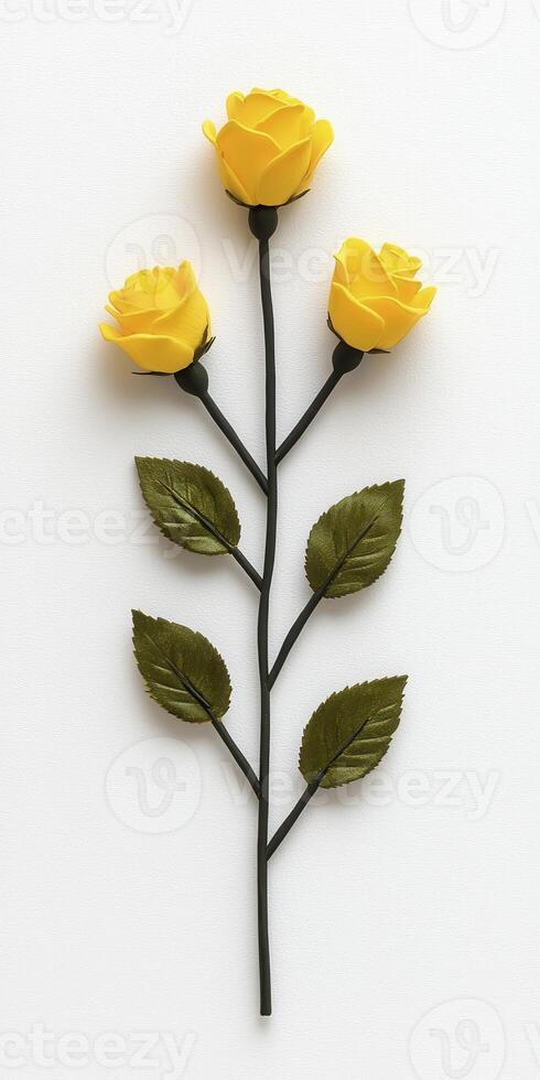 Three Yellow Roses on White Background photo