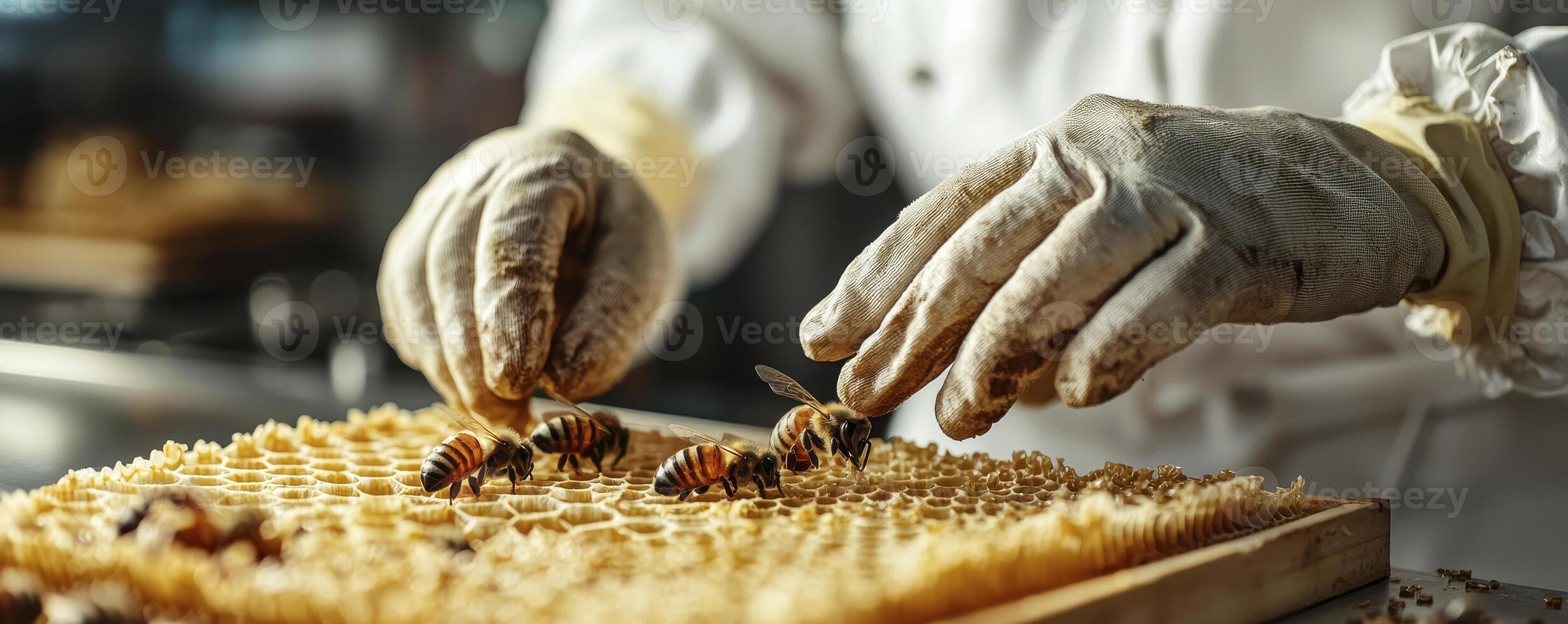 Captivating Close-Up Beekeeper Carefully Handles Honeycomb Frame with Bees Explore the intricate details of apiculture, showcasing the harmonious relationship between humans and nature Observe the photo