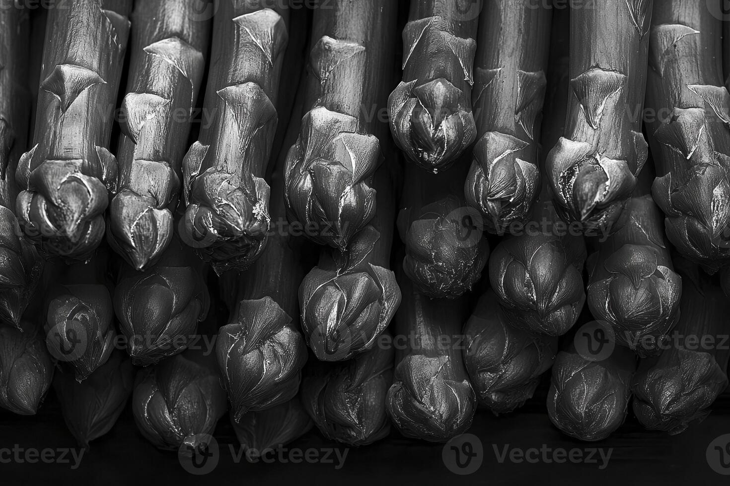 Explore the intricate beauty of asparagus in stunning monochrome A close-up shot revealing the delicate textures and subtle gradients of this delectable vegetable Perfect for food enthusiasts, health photo