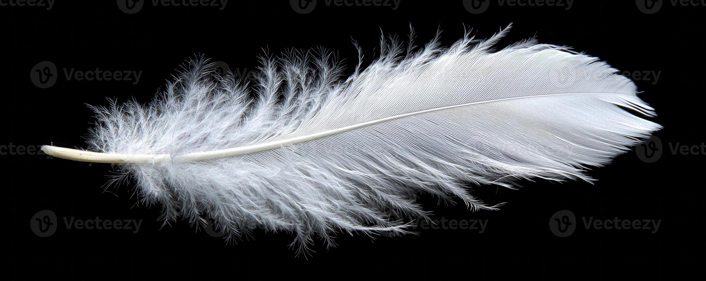 A solitary feather, pristine white, gracefully descends against an endless expanse of black Each delicate barb shimmers in the subtle light, tracing a dance of gravity and air The image captures the photo