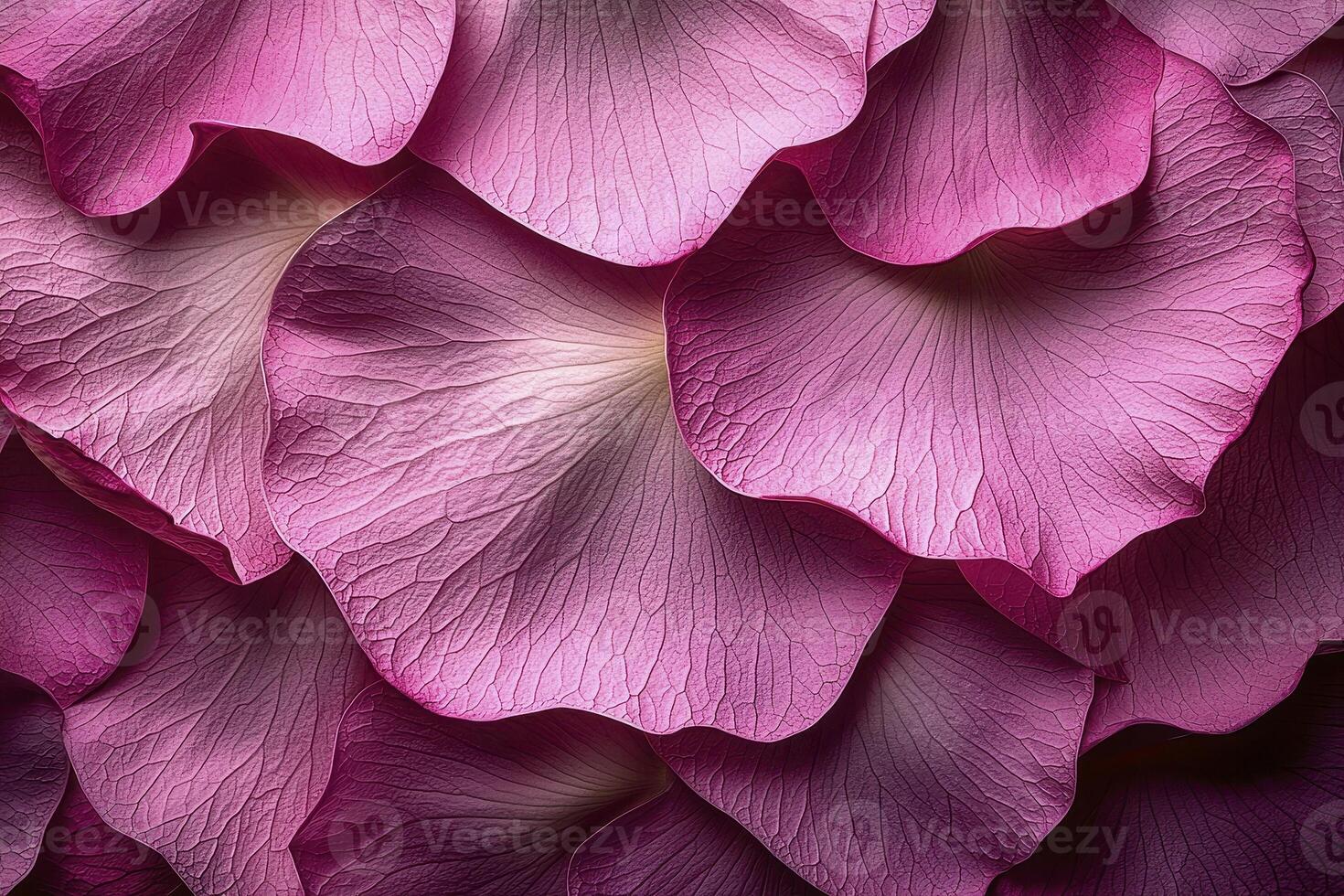 Envelop yourself in the serene embrace of nature's delicate beauty, where pink lotus petals, adorned with glistening moisture, unfold a captivating narrative of purity and tranquility Each petal, a photo