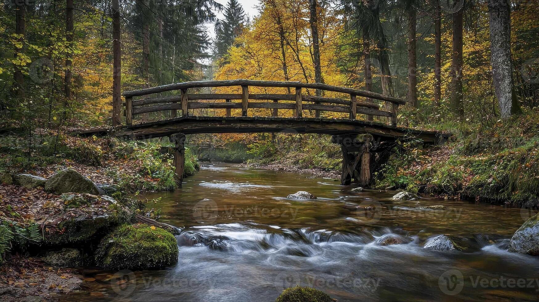 Envision a serene forest scene, where sunlight filters through the canopy, painting dappled patterns on the mossy ground below A gentle stream meanders through the woods, its waters reflecting the photo