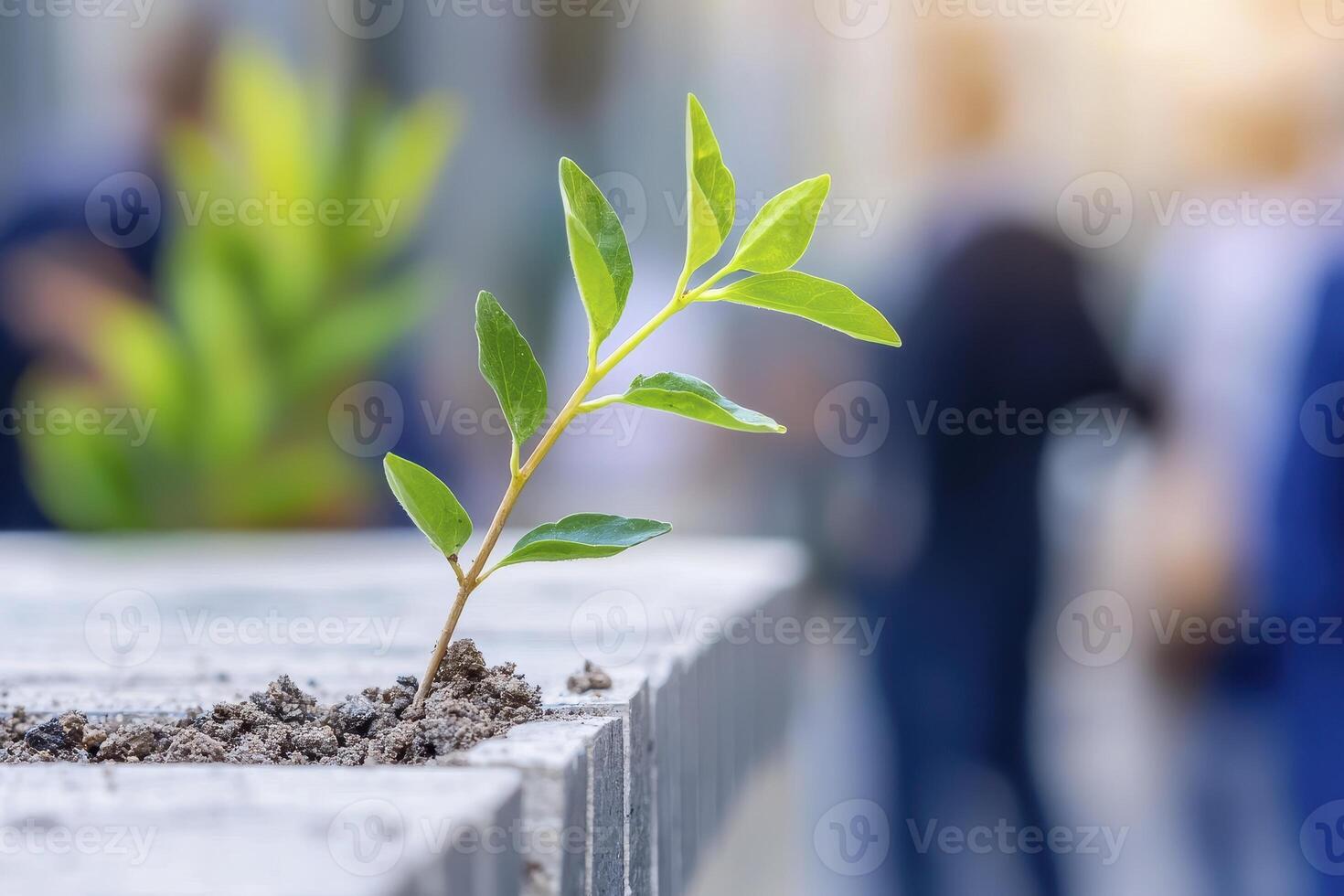 From the barren expanse, a tender shoot ascends, a beacon of hope against the desolate ground, it whispers tales of resilience and rebirth, against all odds A tiny emblem of persistence, it pushes photo