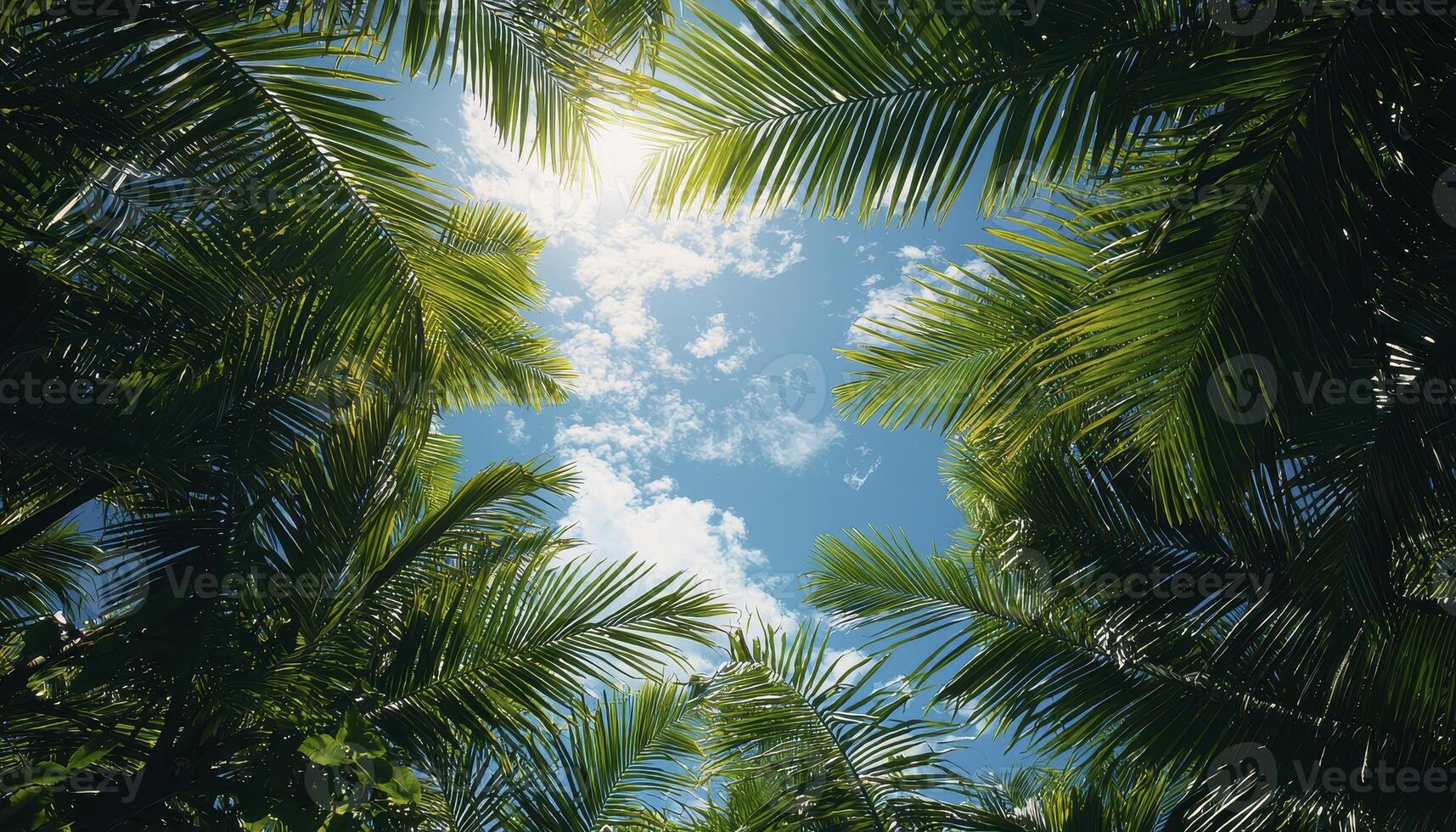 Imagine yourself on a serene tropical island, where lush palm trees sway gently in the warm breeze The leaves rustle like whispers, creating a soothing soundtrack to your day Sunlight filters through photo