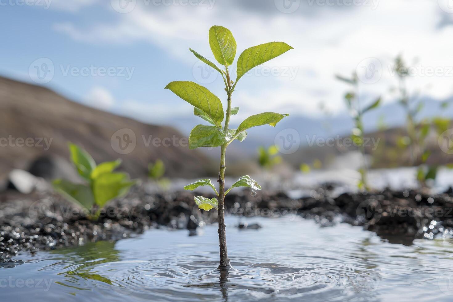 In a barren landscape, a solitary sapling stands tall, a testament to the indomitable spirit of nature Its tender leaves, a vibrant green against the desolate backdrop, reach towards the sun photo