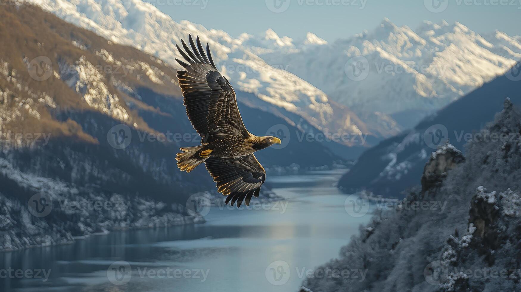 In a breathtaking display of aerial mastery, an eagle glides effortlessly through the vast expanse of the sky Its powerful wings, outstretched and unwavering, catch the gentle currents of the wind photo