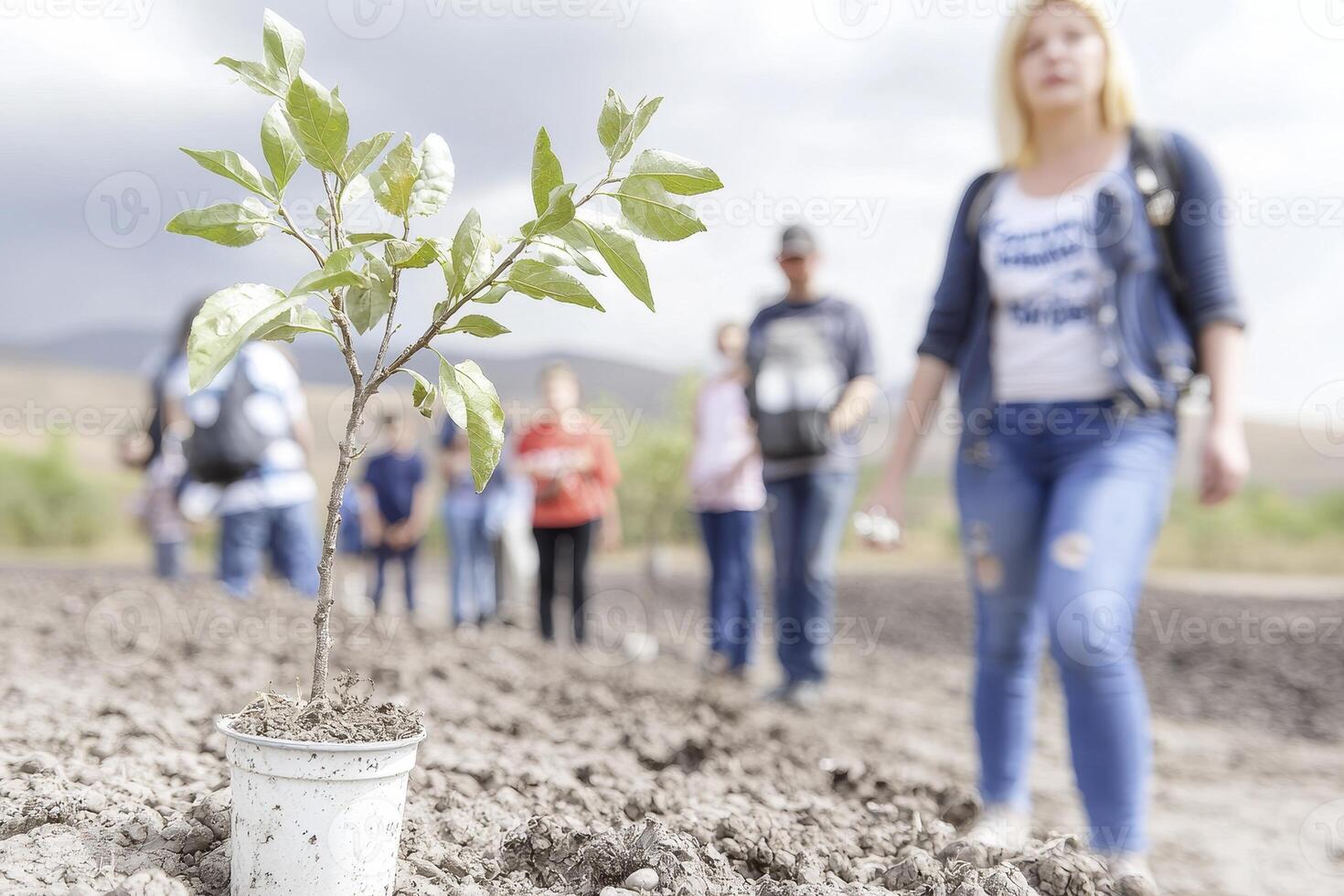 In a desolate expanse where life seems but a distant memory, a solitary sapling valiantly reaches for the heavens Its tender leaves, vibrant against the barren landscape, tell a tale of resilience photo