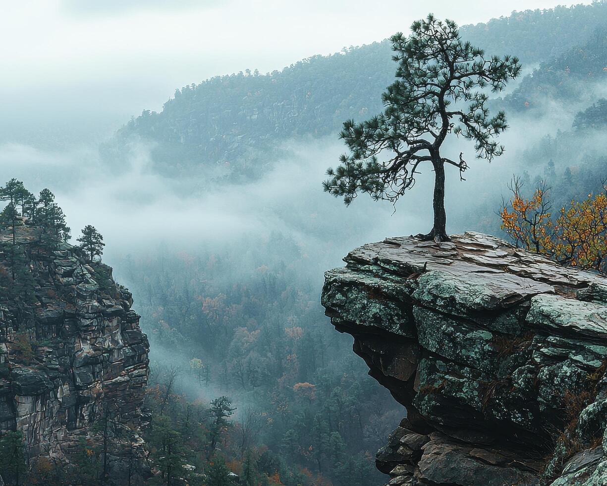 In a realm where time weaves tales of erosion's dance, a deep valley unfolds, shaped by ages of patient carving Majestic rocky formations stand as silent witnesses, their rugged faces etched with the photo