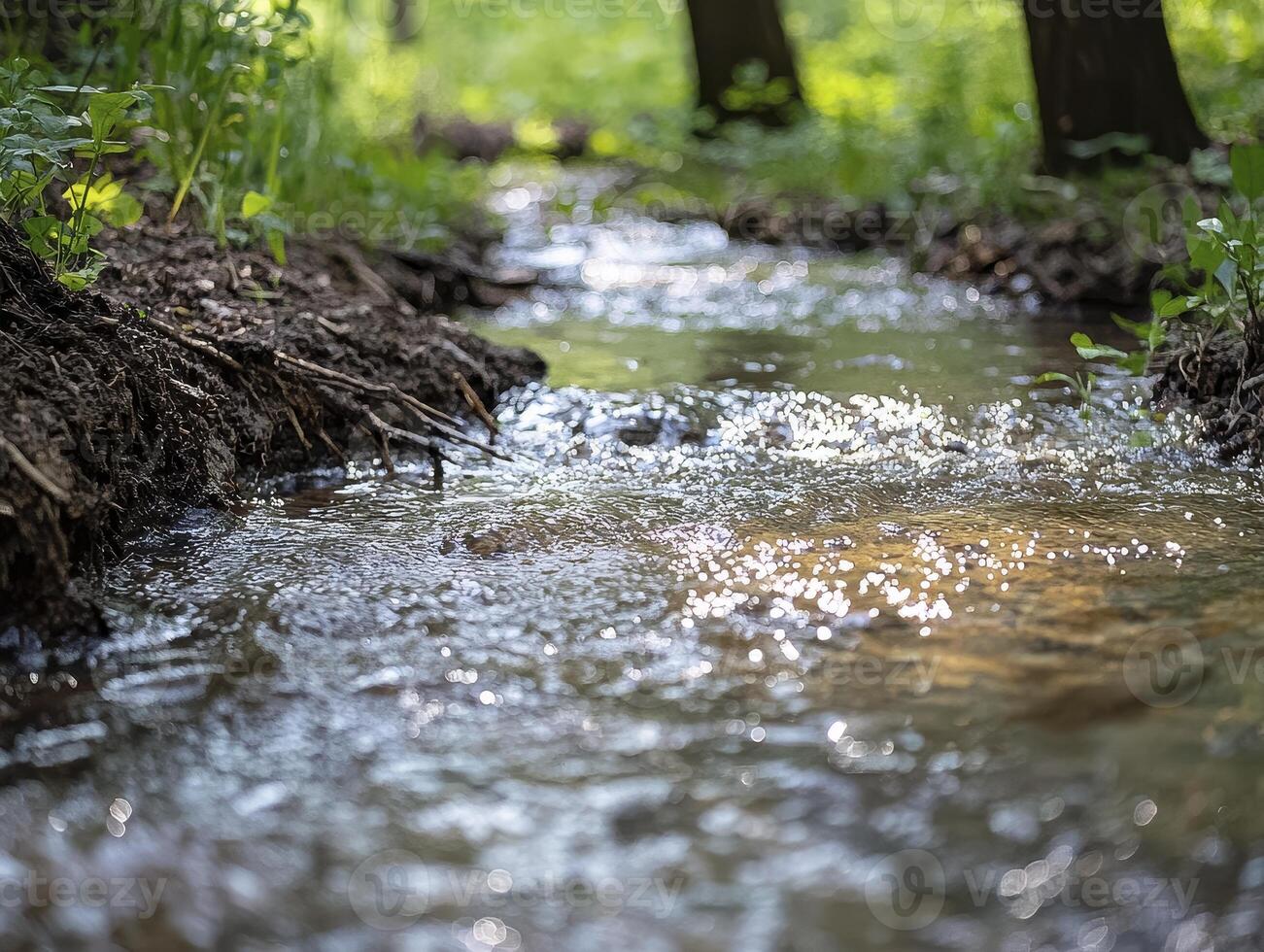 In a serene forest, a gentle stream meanders, its surface adorned with delicate ripples, creating a captivating dance of light and water The scene exudes tranquility, inviting quiet contemplation photo
