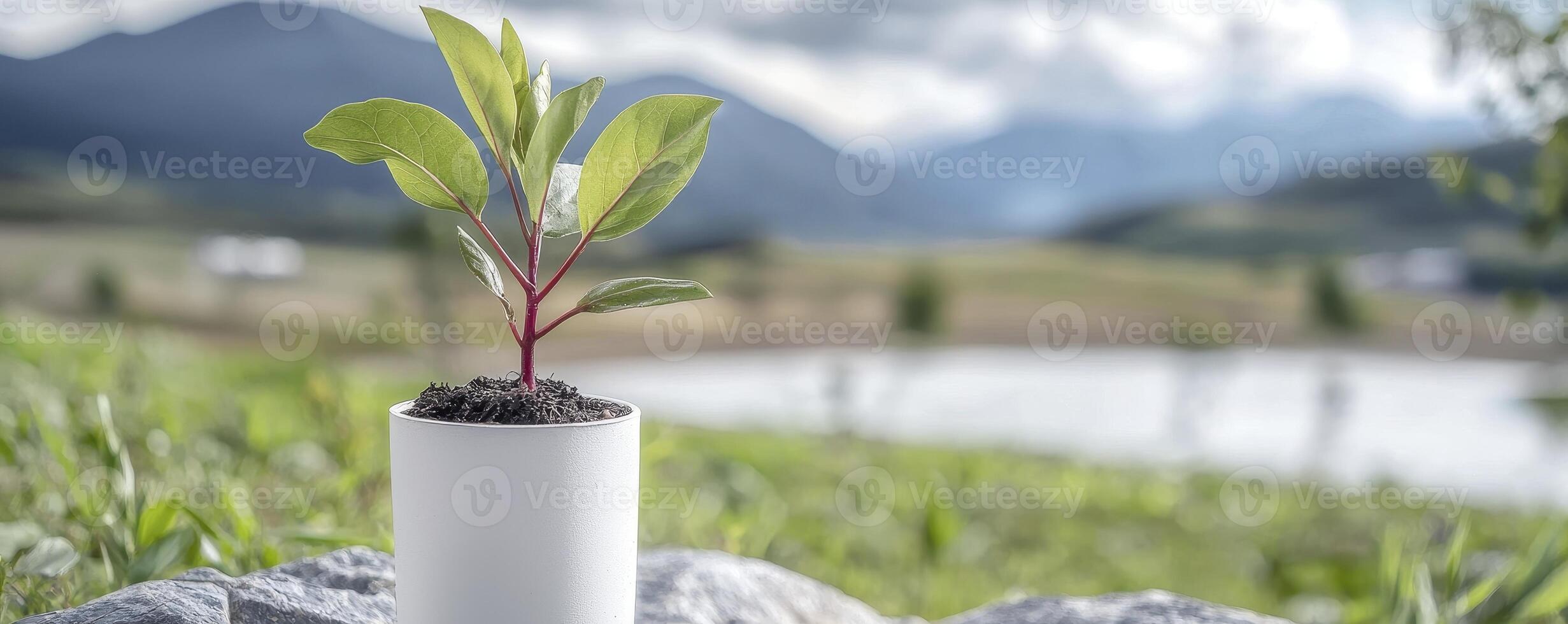 In a serene landscape, a lone, vibrant sprout bravely emerges, a testament to resilience Against a backdrop of majestic mountains and a tranquil lake, the tiny plant stands defiant Its fragile leaves photo