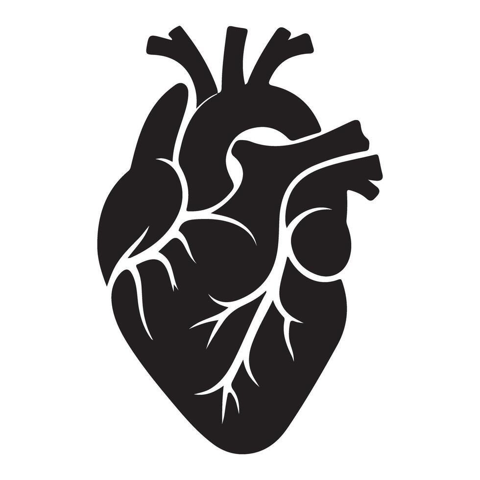 Detailed Silhouette Anatomical Heart Graphic for Medical Designs vector