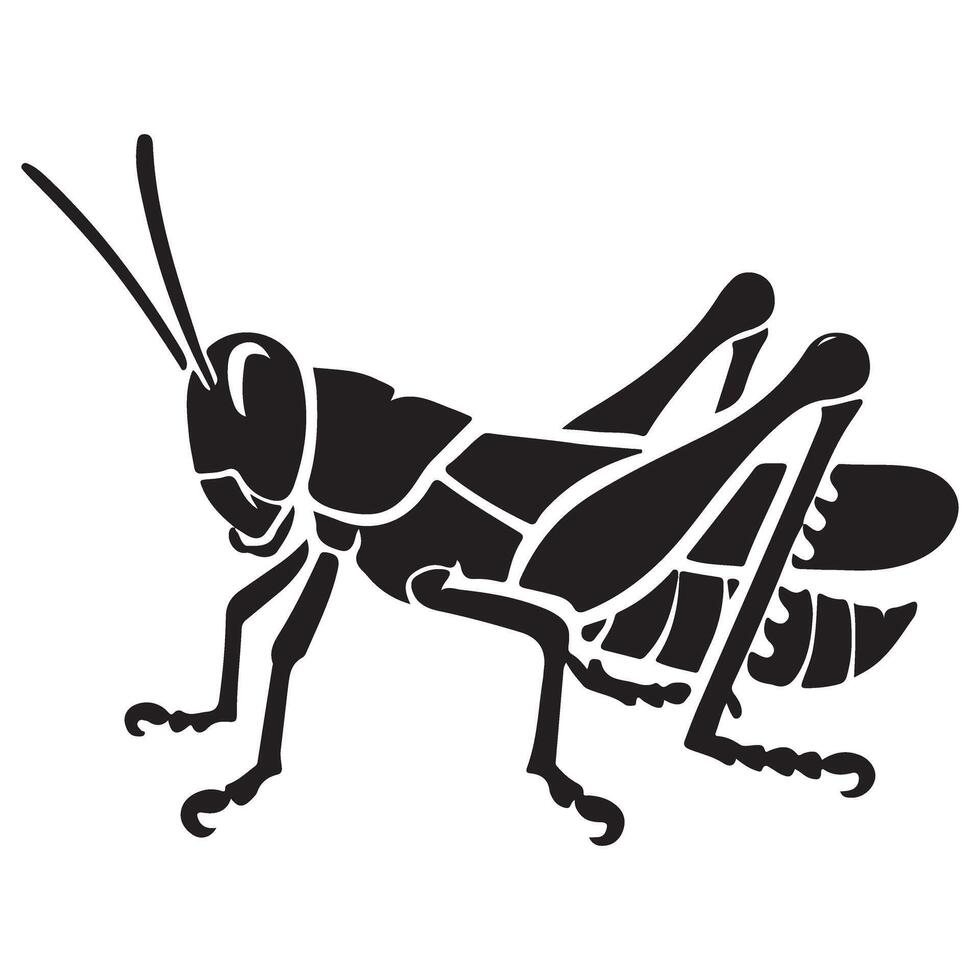 Detailed Illustration of a Grasshopper Insect for Design Projects vector