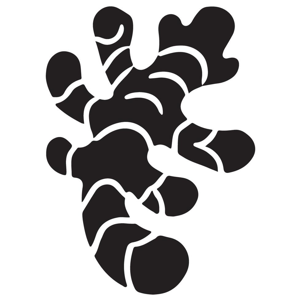 Ginger Root Silhouette Illustration for Health and Cooking Topics vector